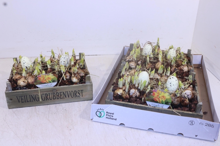 <h4>ARR N TETE A TETE</h4>