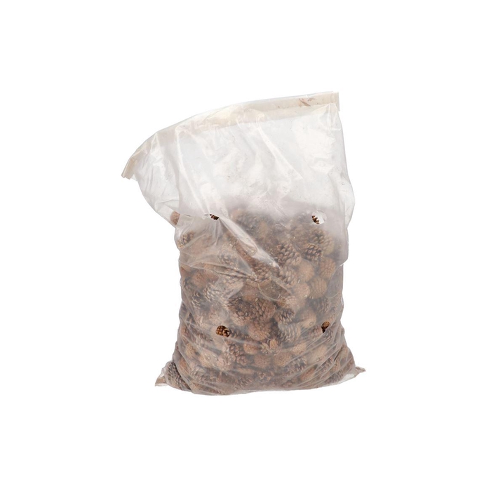 <h4>Nature Austrian Pinecone Natural P/5kg</h4>