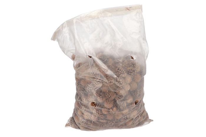 Nature Austrian Pinecone Natural P/5kg