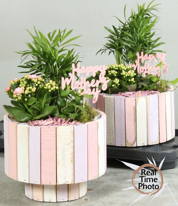 <h4>ARR KAMERPLANTEN H%</h4>