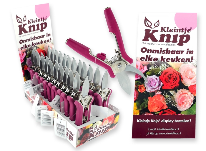 <h4>HUIS EN TUINDECO H%</h4>