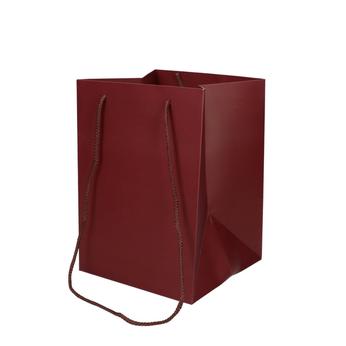 <h4>Olympic 25*18*18cm</h4>