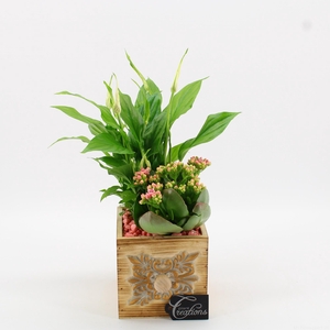 ESCR-2609RZ Essentials