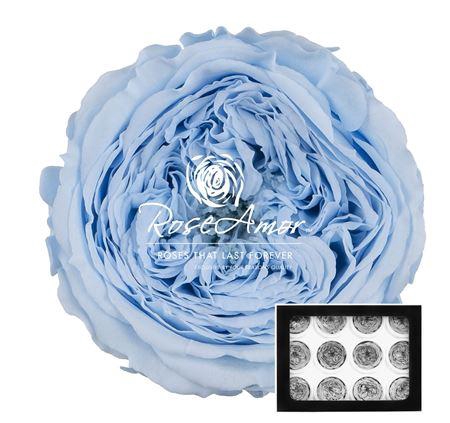 <h4>Amelia Blu89</h4>