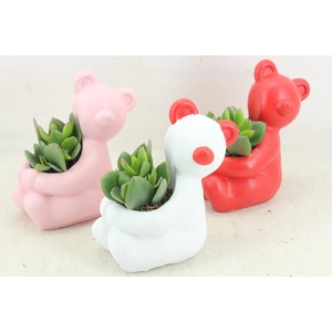 arr3 Demi - Ker. beer mix