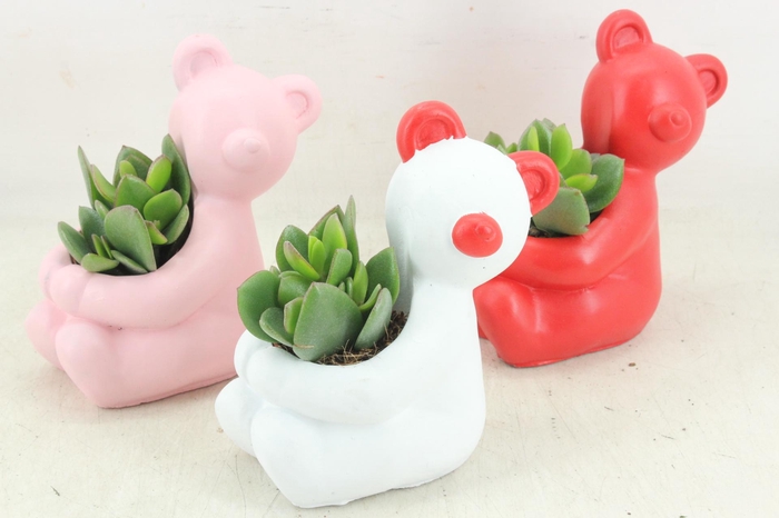 <h4>arr3 Demi - Ker. beer mix</h4>