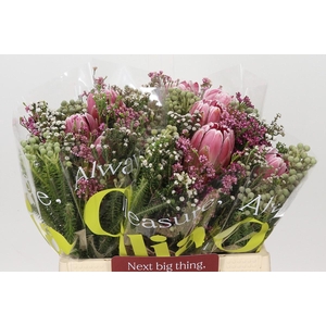 BQ Protea 3 Flowers
