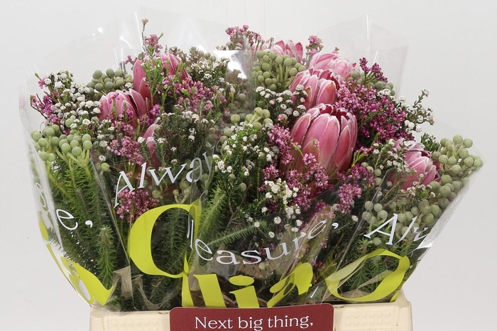 <h4>BQ Protea 3 Flowers</h4>