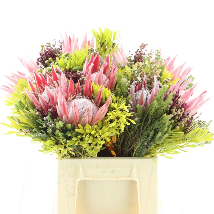 <h4>Kaaps Bouquet Cynaroides 1 Flower</h4>