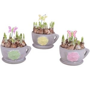 Bulbs Arr. Narcis Ceramic Cup and Saucer 3D Flower Ø19cm