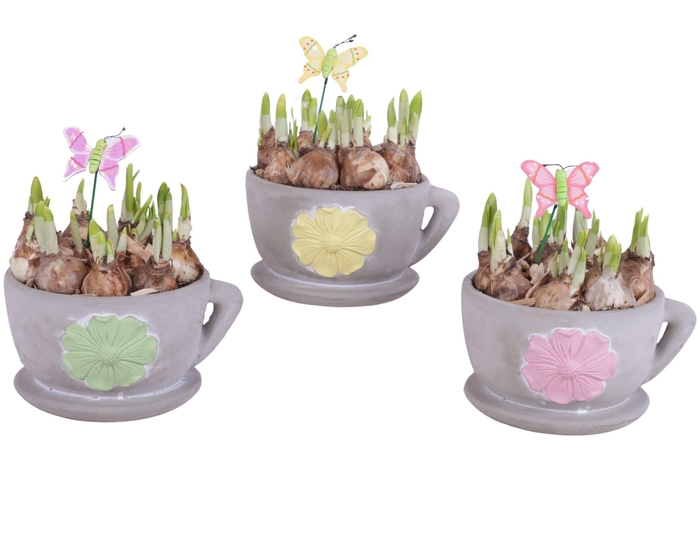 <h4>Bulbs Arr. Narcis Ceramic Cup and Saucer 3D Flower Ø19cm</h4>
