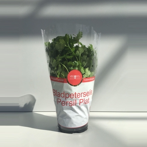 Peterselie Plat P12