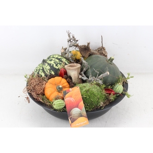 arr4 Sierfruit MB - Zink schaal zwart