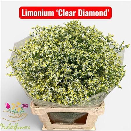 <h4>Lim Sin Clear Dia</h4>