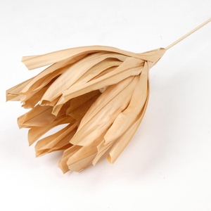 DF Fire Flower L110cm L.Brown