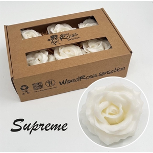 Zijde R Supreme Wit Wx