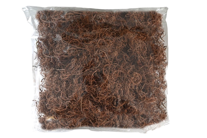 <h4>Moss Curly 500g</h4>