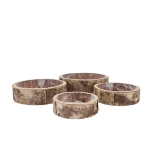 Nature Birch Planter Round S/4 20x6cm/25x7cm/30x8cm/35x9cm