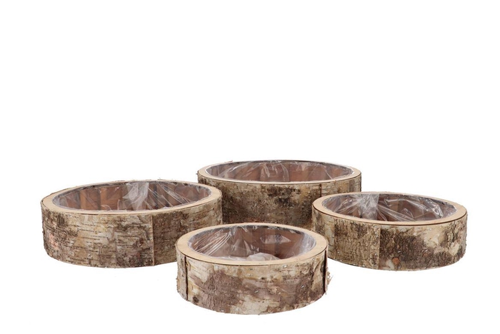 Nature Birch Planter Round S/4 20x6cm/25x7cm/30x8c