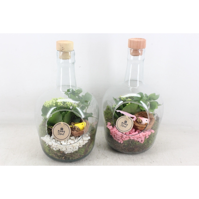 <h4>Arr2 Pl - Glas Fles Met Dop 285/5 - Roze/wit</h4>