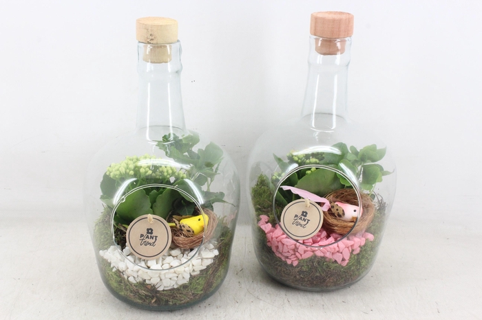 <h4>arr2 PL - Glas fles met dop 285/5 - roze/wit</h4>