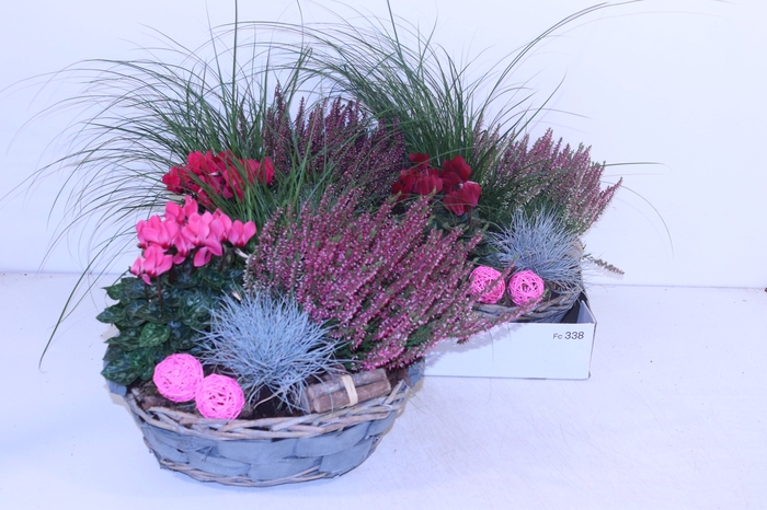 <h4>ARR TUINPLANTEN</h4>