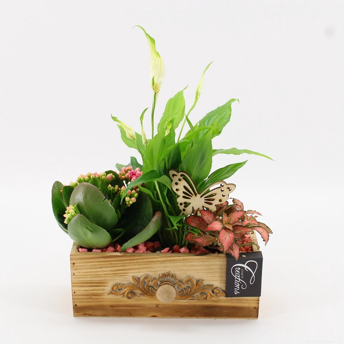 <h4>ESCR-2610RZ Essentials</h4>