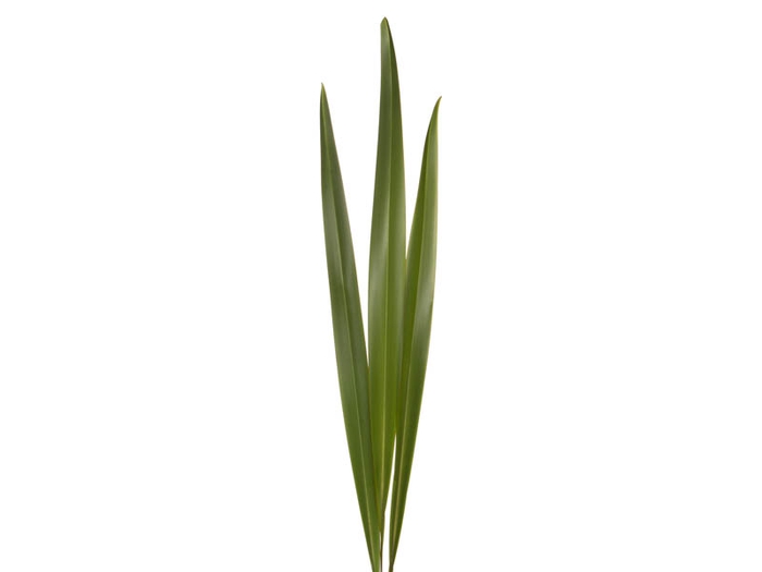 FOLHAGEM FIBRA 100 CM VERDE