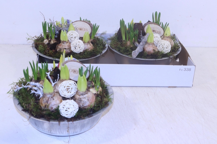 <h4>ARR BOL KNOLGEWAS</h4>