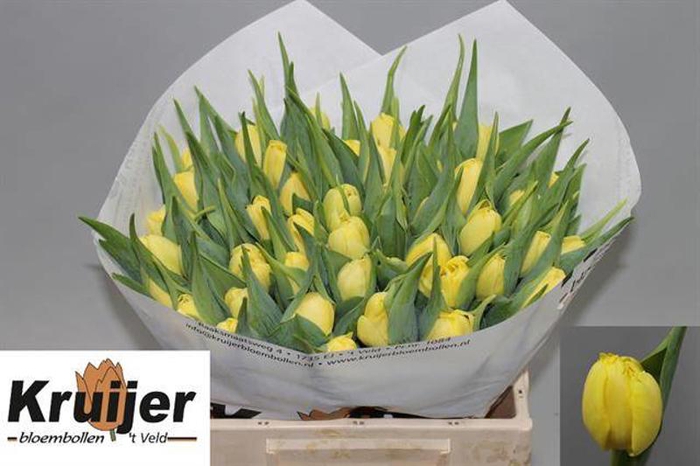 Tu Dubbel Sweet Lemon Kruijer