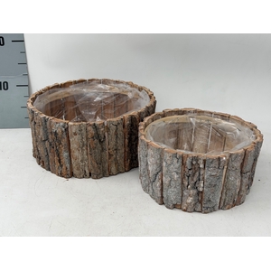 HOUT H%