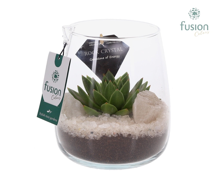 <h4>Glazen vaas met Edelstenen met Succulenten</h4>