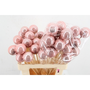 Stick Ball C. Ø6 Pink Pearl