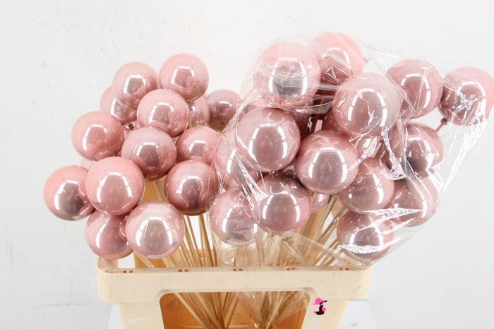 <h4>Stick Ball C. Ø6 Pink Pearl</h4>