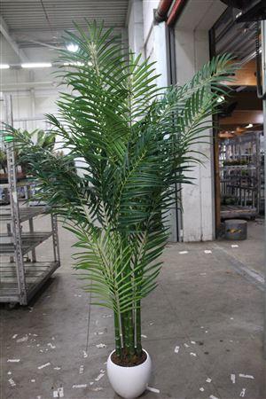 <h4>Artificial Howea F Ceramic Hydro</h4>