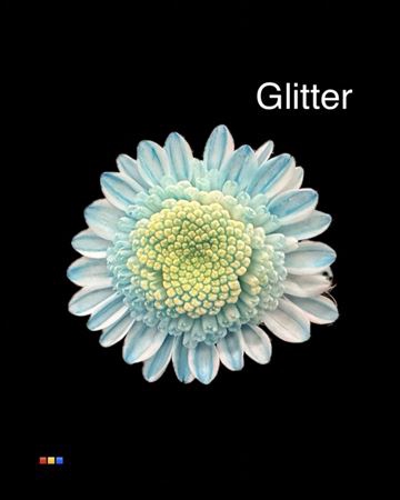 Chr T Stallion Dusty Pastel Blue + Glit Bio