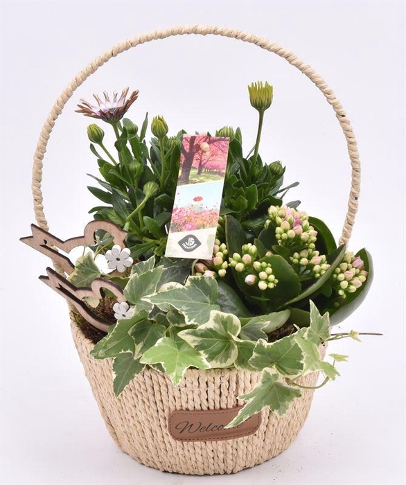 <h4>Touw hengselmand "welcome" 17cm</h4>