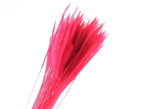 Soft Worms Grass Red