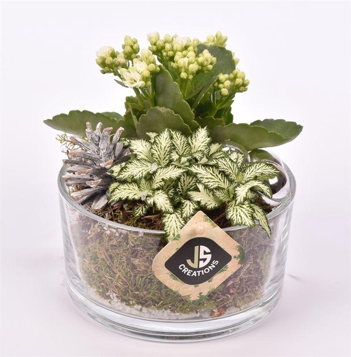 <h4>Glas schaal 15cm</h4>