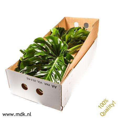 <h4>Monsterablad Quality Greens Doos</h4>