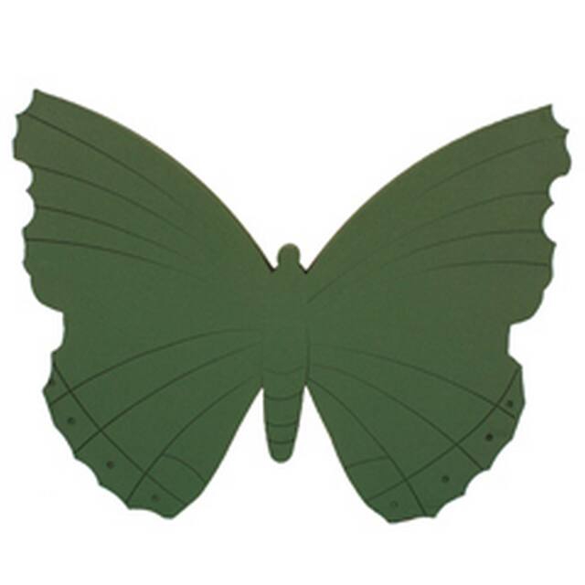 <h4>Oasis Butterfly 58 x 44 x 6 cm</h4>