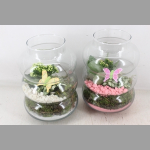 arr2 PL - Glas ringvaas - roze/wit