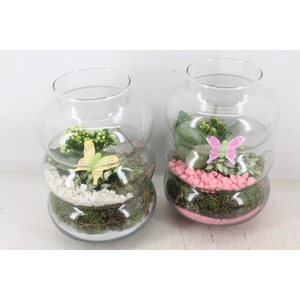 arr2 PL - Glas ringvaas - roze/wit