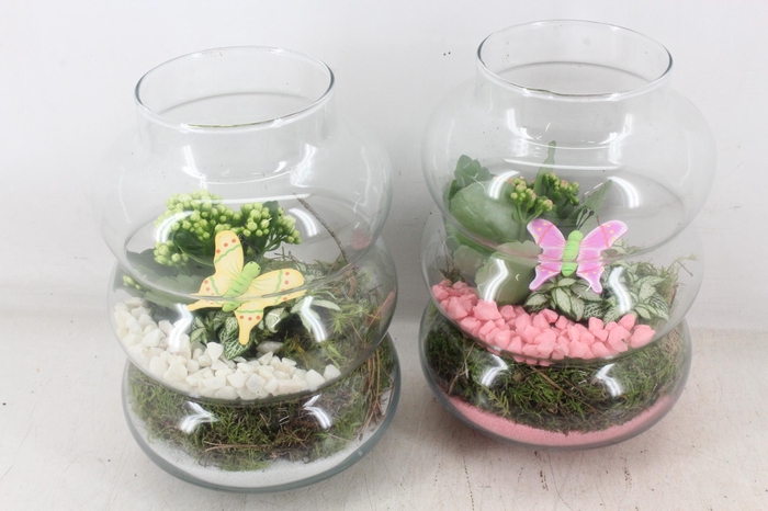 Arr2 Pl - Glas Ringvaas - Roze/wit