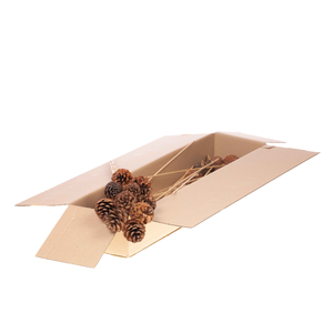 Pine C 5-7 Normal Sb N