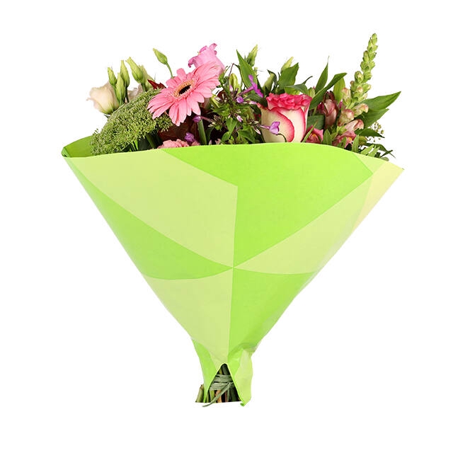 <h4>Hoes 35x35cm Angelo 45gr wit kraft Triangle groen 500/doos</h4>