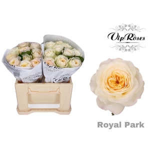 R GR ROYAL PARK