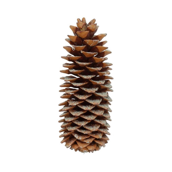 <h4>Deco Pinecone Sugarpine Sented Pine Tree L35 Slv</h4>