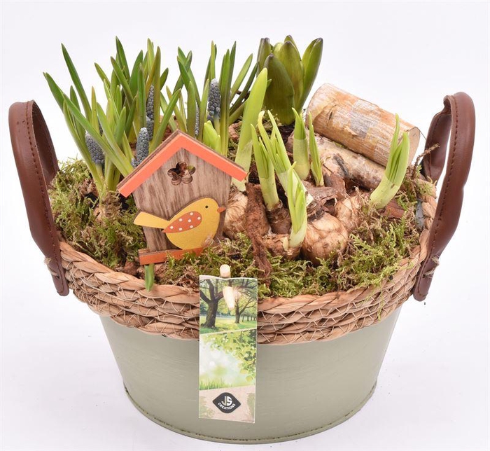 <h4>Zink schaal groen met touw 21cm</h4>