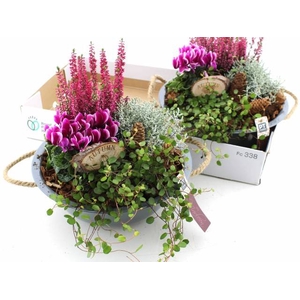 ARR TUINPLANTEN